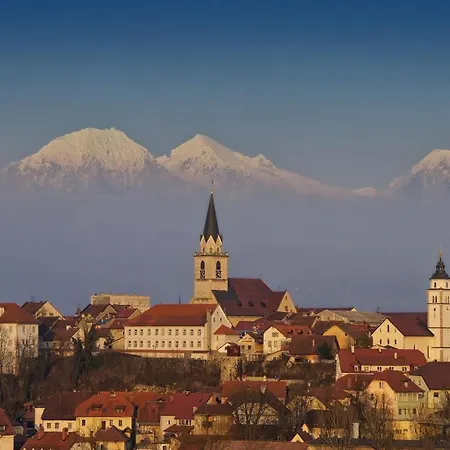 Homeslovenia - Your In The Heart Of Slovenia Nastanitev v družini Selca