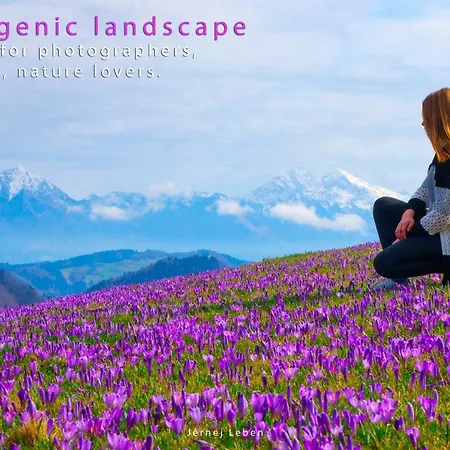 Homeslovenia - Your In The Heart Of Slovenia Selca